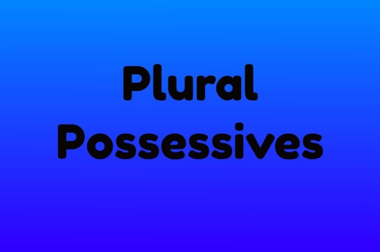 what are plural possessives?